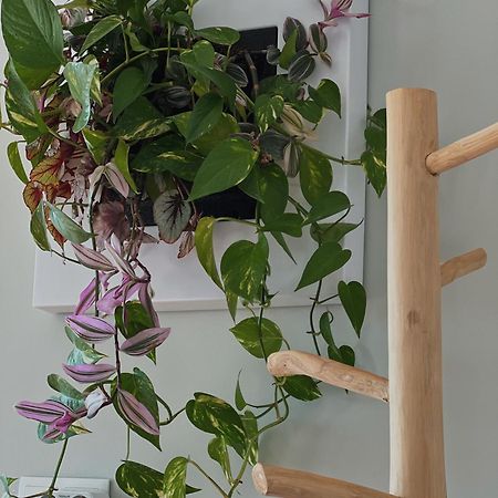 Luna House & Cowork Κασκαΐς Εξωτερικό φωτογραφία