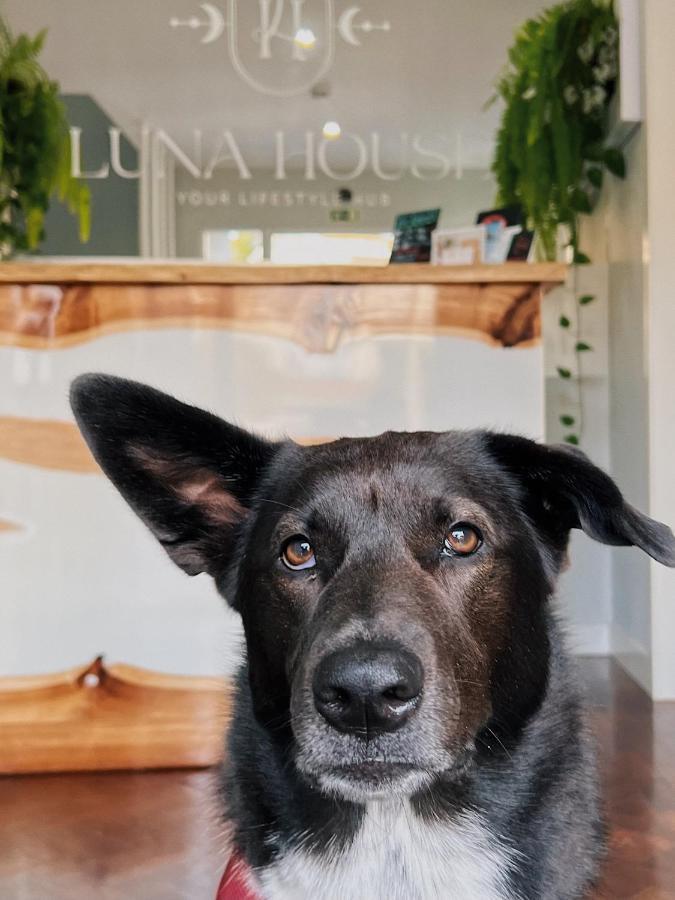 Luna House & Cowork Κασκαΐς Εξωτερικό φωτογραφία